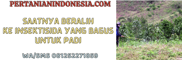jual,murah,terjangkau,toko pertanian terdekat,pertanian indonesia